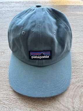 Patagonia Classic Logo Dad Hat Blue/Gray